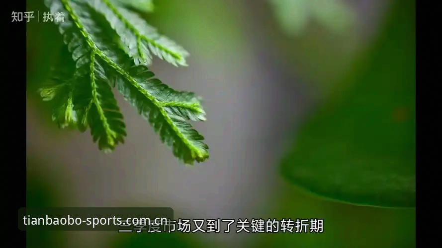 3个关键看点：皇马主席选举风波背后的深层博弈，天宝博体育用户必读分析